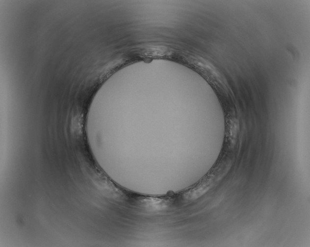 X0000110970326200907101354