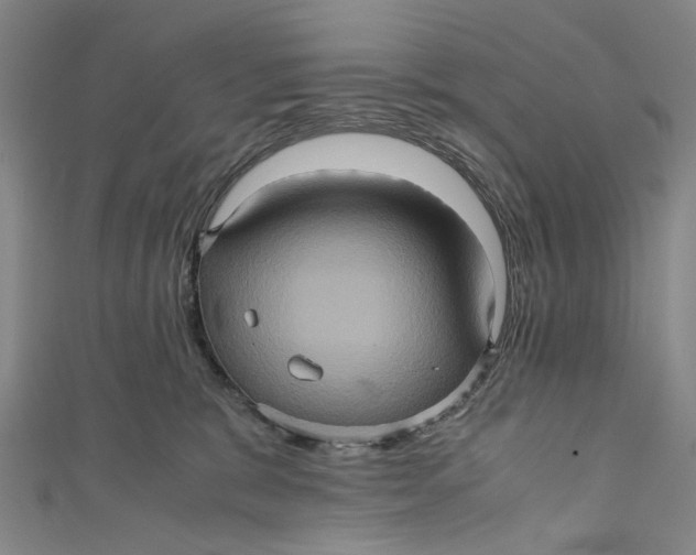 X0000110970327200907101354