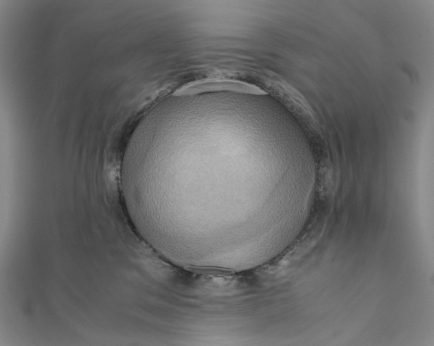 X0000110970329200907101354