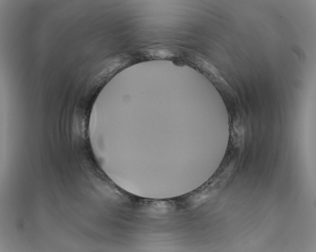 X0000110970330200907101354