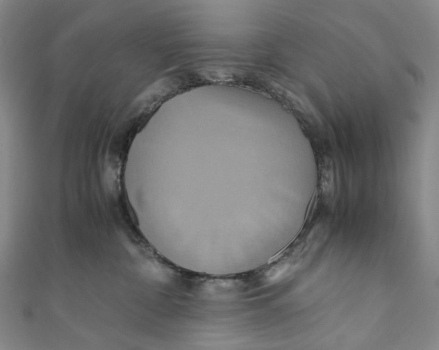 X0000110970332200907101354