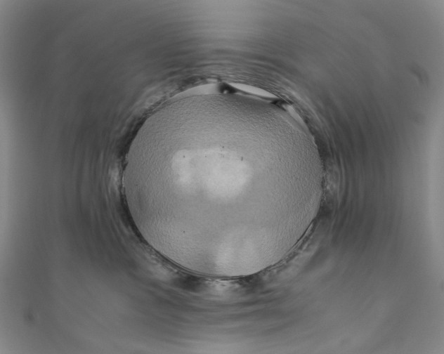 X0000110970333200907101354