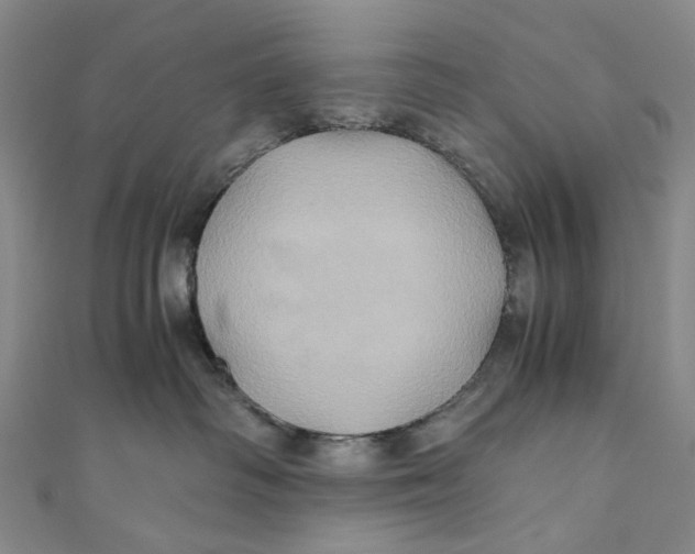 X0000110970334200907101354