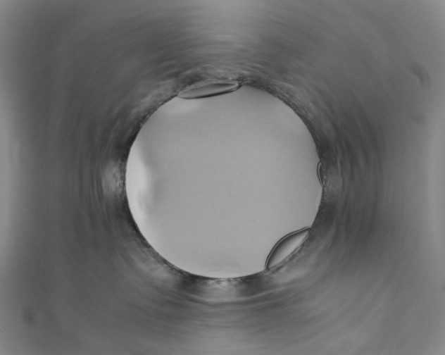 X0000110970335200907101354