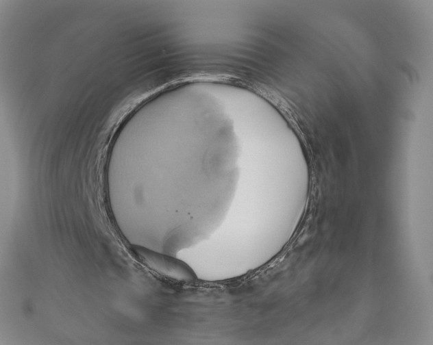 X0000110970337200907101353