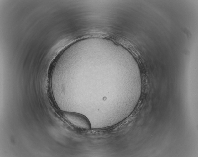 X0000110970338200907101353