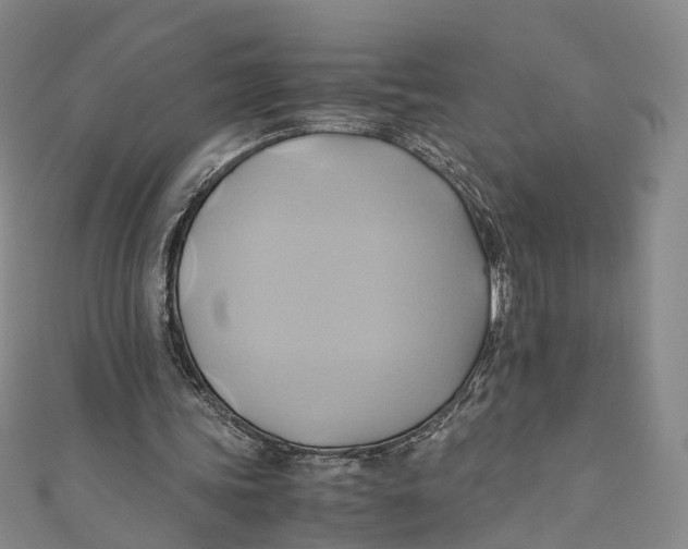 X0000110970339200907101353