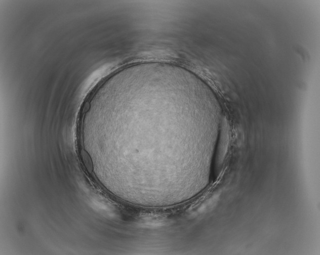 X0000110970340200907101353