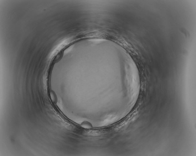 X0000110970341200907101353