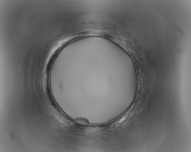 X0000110970342200907101353