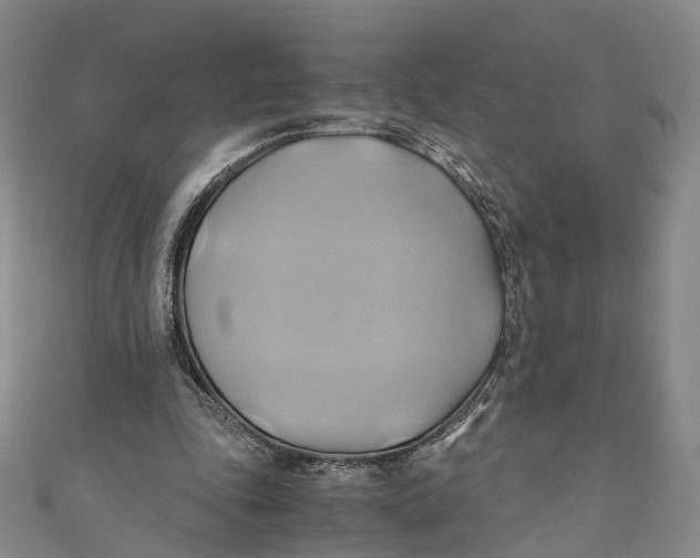 X0000110970343200907101353