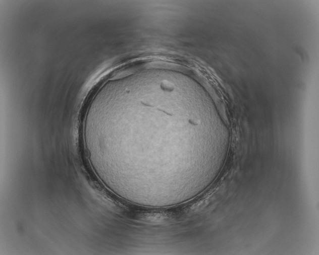 X0000110970344200907101353