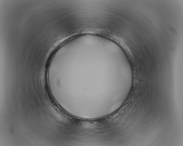 X0000110970346200907101353