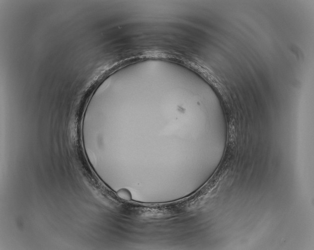 X0000110970347200907101353