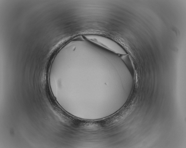 X0000110970348200907101353