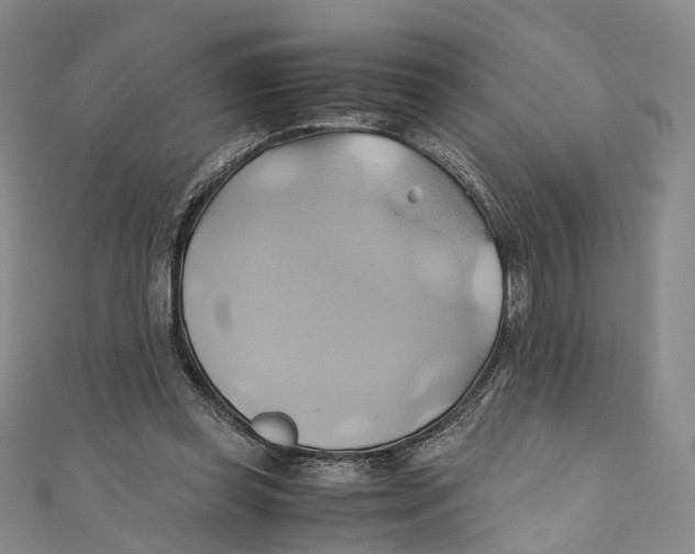 X0000110970349200907101353