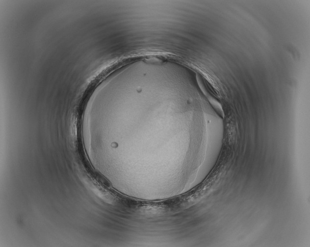 X0000110970350200907101353