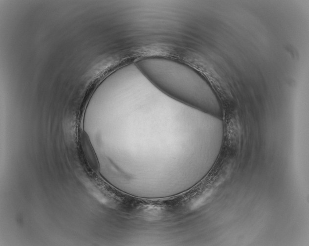 X0000110970352200907101353