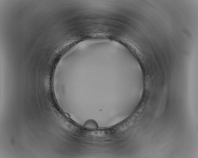 X0000110970353200907101353