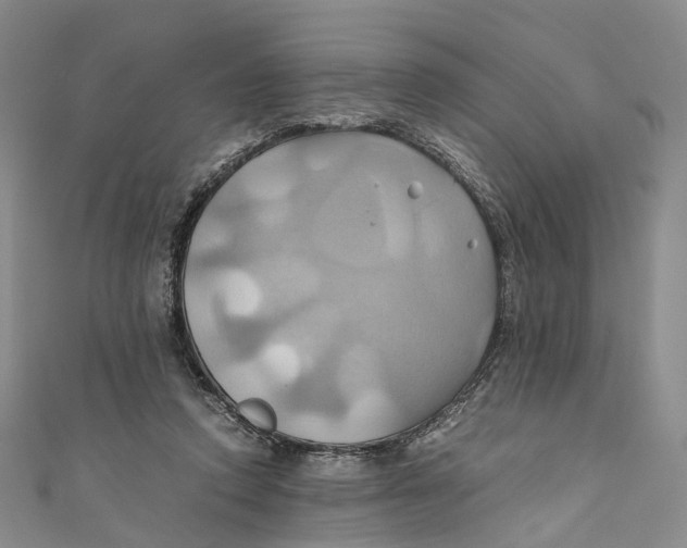 X0000110970354200907101353