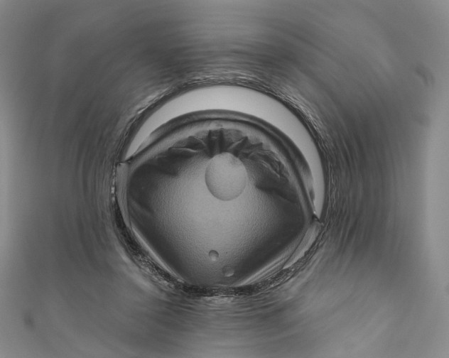 X0000110970356200907101353