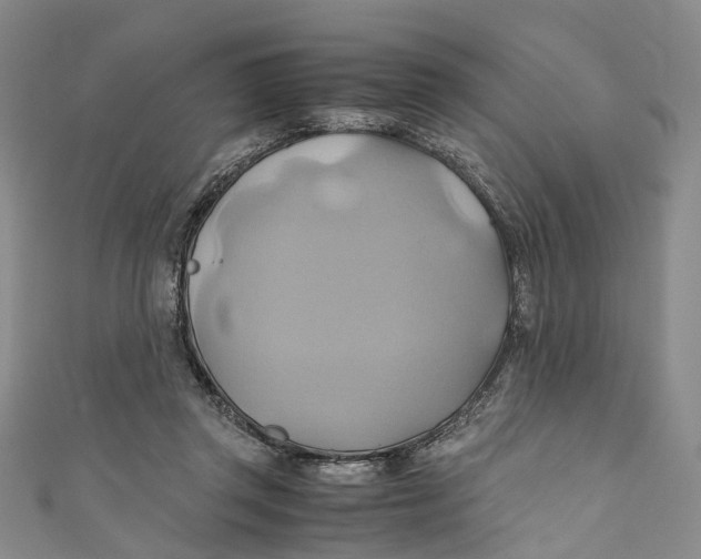 X0000110970357200907101353