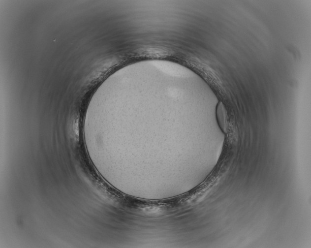 X0000110970358200907101353