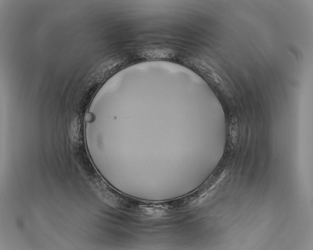 X0000110970359200907101353