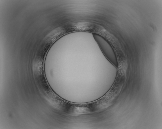 X0000110970360200907101353