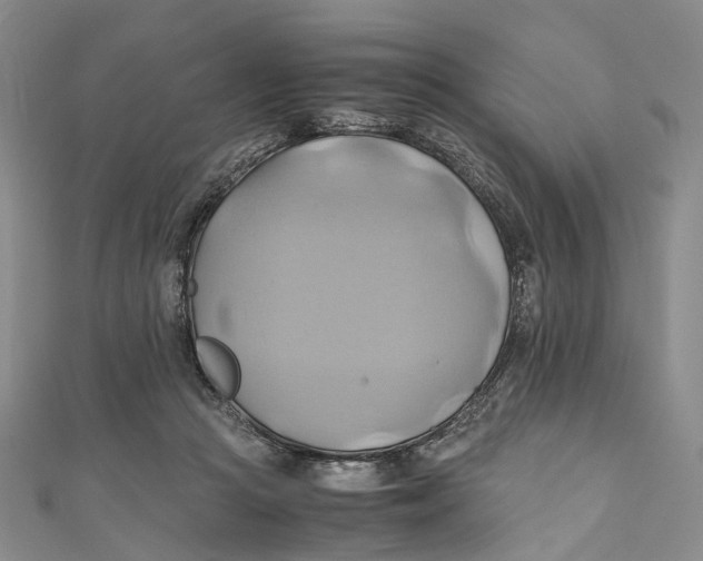 X0000110970361200907101353