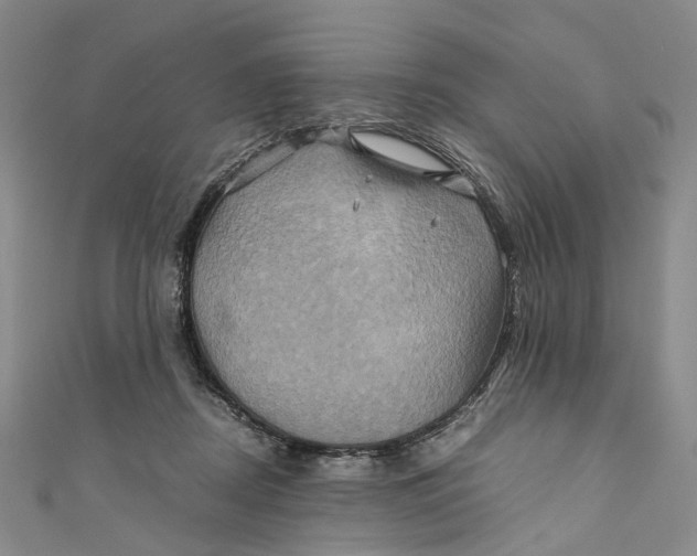 X0000110970362200907101353