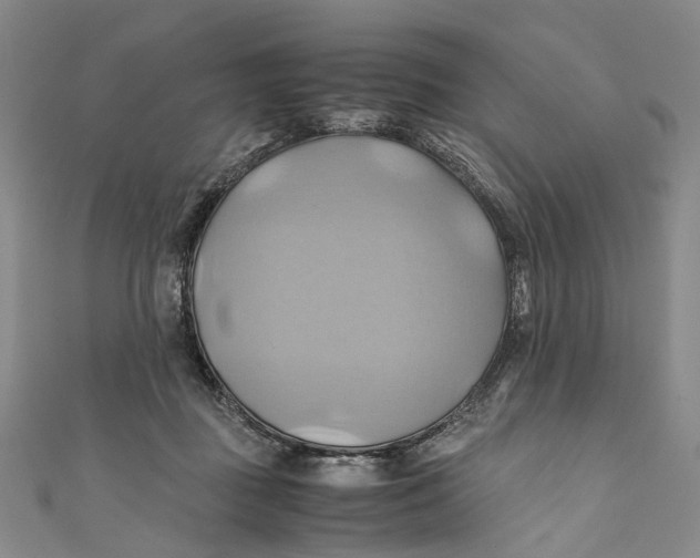 X0000110970363200907101353