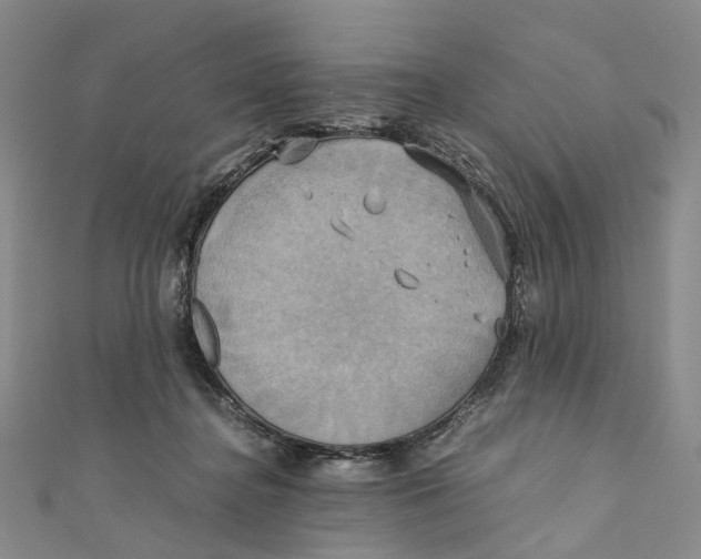 X0000110970364200907101353