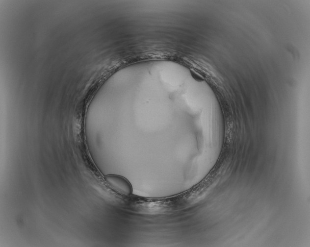 X0000110970365200907101353