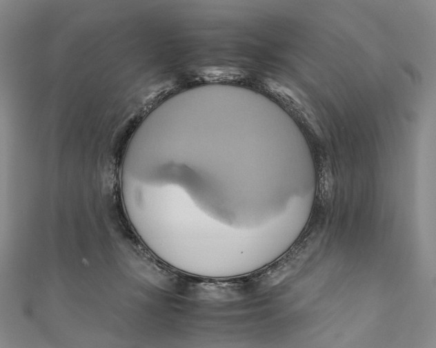 X0000110970367200907101353