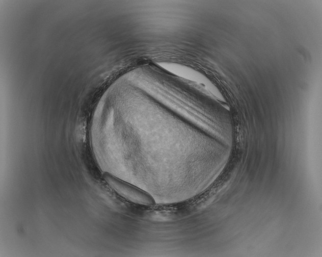 X0000110970368200907101353