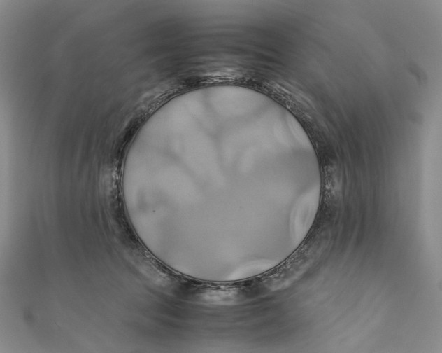 X0000110970369200907101353