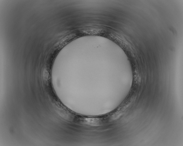 X0000110970371200907101353