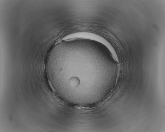 X0000110970372200907101353