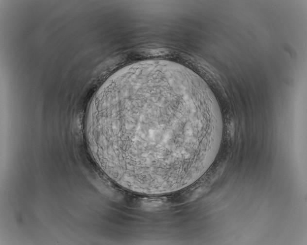 X0000110970373200907101353