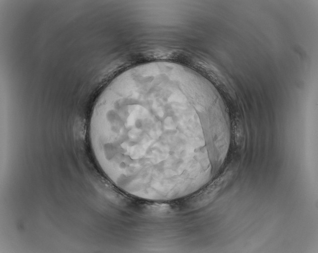 X0000110970374200907101353