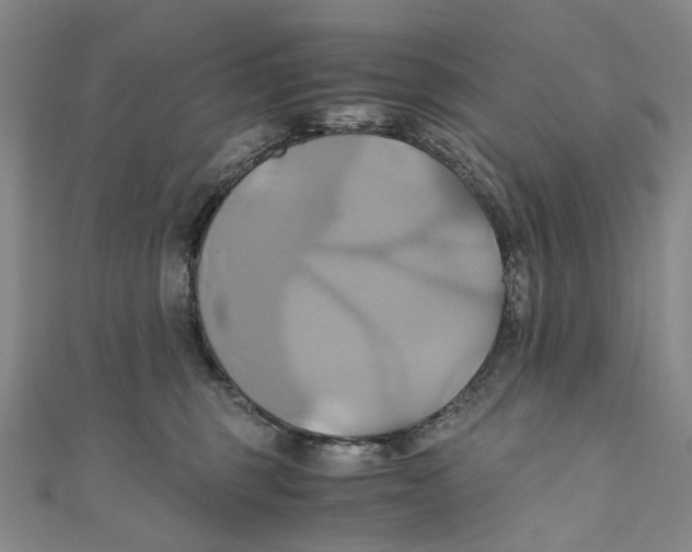 X0000110970375200907101353