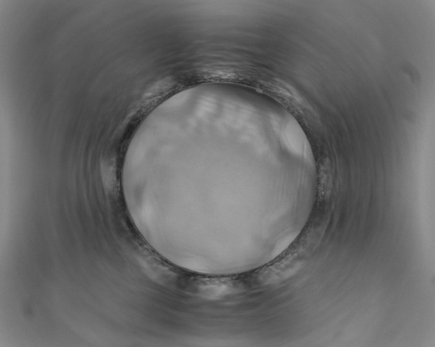 X0000110970377200907101353