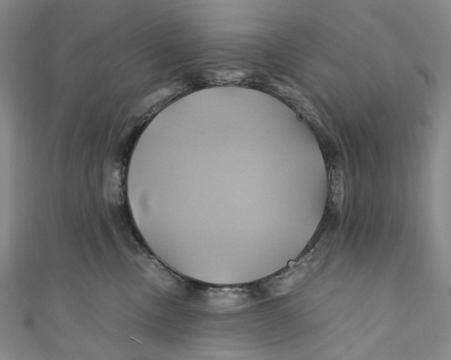 X0000110970378200907101353