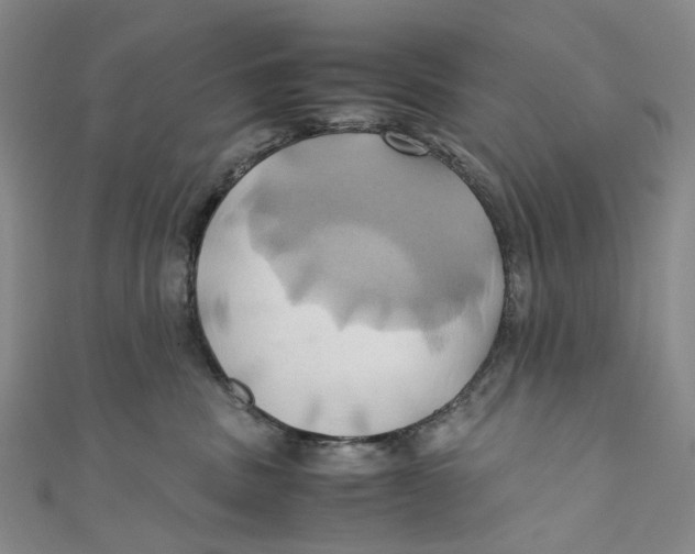 X0000110970379200907101354