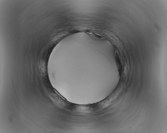 X0000110970380200907101354