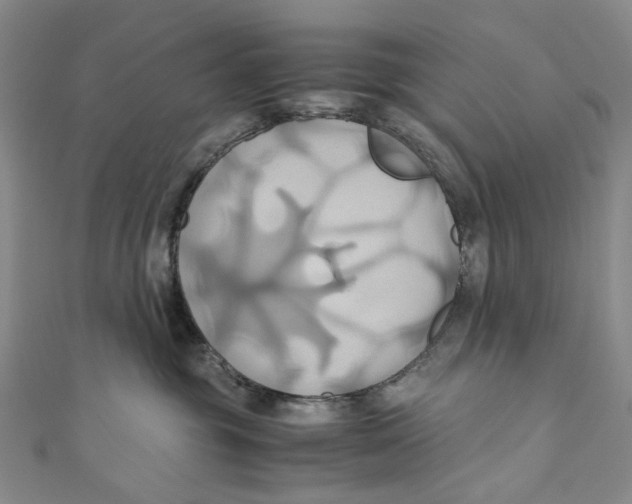 X0000110970381200907101354