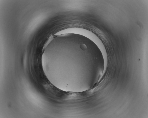 X0000110970382200907101354