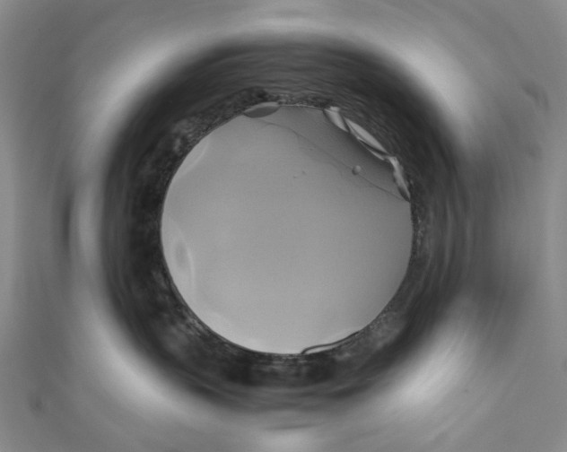 X0000110970383200907101354