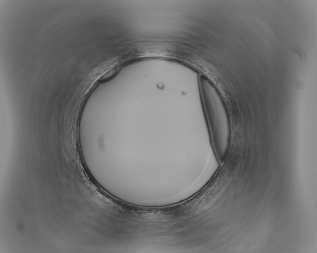 X0000110970385200907101353